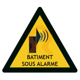 Pictogramme bâtiment sous alarme