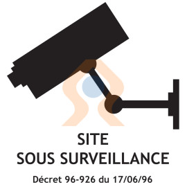 Pictogramme site sous surveillance vidéo